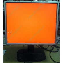 Монитор 19" TFT HP 1955 (DVI в Краснознаменске, USB-хаб) "квадратный" (Краснознаменск)