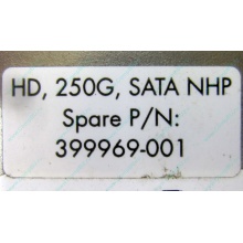 HP 250G 7.2k 432337-001/ 399699-001 / 397377-004 SATA HDD (Краснознаменск)
