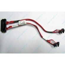 SATA-кабель для корзины HDD HP 451782-001 для корпуса HP 5U tower (Краснознаменск)