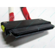 SATA-кабель для корзины HDD HP 451782-001 459190-001 для HP ML310 G5 (Краснознаменск)