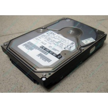 Жесткий диск 18.2Gb IBM Ultrastar DDYS-T18350 Ultra3 80 pin SCSI (Краснознаменск)