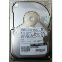 Жесткий диск 18.2Gb IBM Ultrastar DDYS-T18350 Ultra3 SCSI (Краснознаменск)