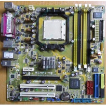 Материнская плата Asus M2NPV-VM socket AM2 (без задней планки-заглушки) - Краснознаменск