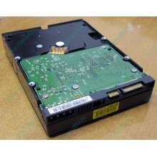 Б/У жёсткий диск 400Gb WD WD4000YR Caviar RE2 7200 rpm SATA  (Краснознаменск)
