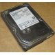 HDD 500Gb Hitachi HDS721050DLE630 донор на запчасти (Краснознаменск)