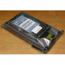 Жёсткий диск 146.8Gb HP 365695-008 404708-001 BD14689BB9 256716-B22 MAW3147NC 10000 rpm Ultra320 Wide SCSI купить в Краснознаменске, цена (Краснознаменск).
