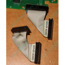 6017B0045701 Шлейф 24 pin для Intel C74974-401 T0043401-B01 корпуса SR2400 (Краснознаменск)