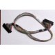 Intel 6017B0045301 в Краснознаменске, 68 pin SCSI кабель 26.5" / 57см для корзины HDD корпуса SR2400 (Краснознаменск)