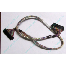 6017B0045301 в Краснознаменске, 68pin SCSI кабель 26.5" / 57cm для корзины HDD Intel SR2400 (Краснознаменск)