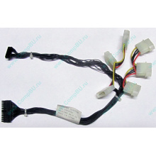 59P4789 FRU 59P4792 в Краснознаменске, кабель IBM 59P4789 FRU 59P4792 для серверов X225 (Краснознаменск)