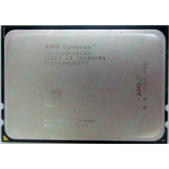 AMD Opteron 6128 OS6128WKT8EGO (Краснознаменск)