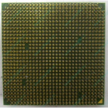 Процессор AMD Sempron 3000+ (1.6GHz) SDA3000IAA3CN s.AM2 (Краснознаменск)