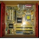 Материнская плата Asus P5L-VM 1394 s.775 (Краснознаменск)